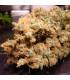 Dutch Dragon (Paradise Seeds)