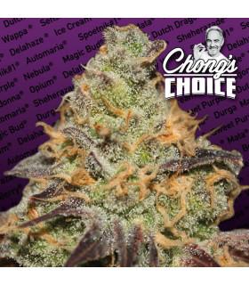 Blue Kush Berry (Blue Kush Berry)