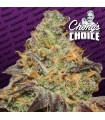 Blue Kush Berry