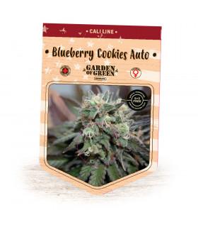 Blueberry Cookies Auto (Garden of Green)