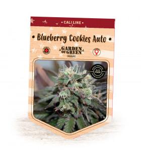 Cookies n Cream Auto (Garden of Green)