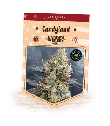 Candyland (Garden of Green)