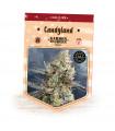 Candyland
