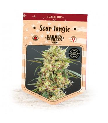 Sour Tangie (Garden of Green)