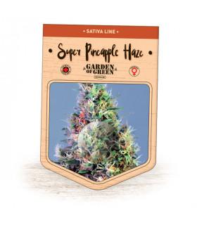 Super Pineapple Haze  (Garden of Green)