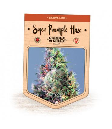 Super Pineapple Haze  (Garden of Green)