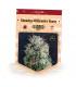 Chemdog Millionaire Guava (Garden of Green)