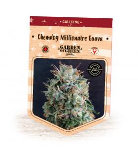Chemdog Millionaire Guava (Garden of Green)
