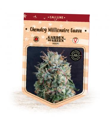 Chemdog Millionaire Guava (Garden of Green)
