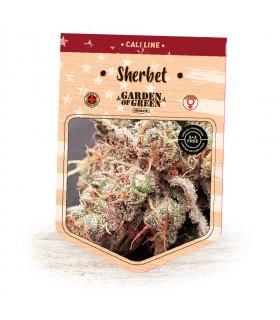 Sherbert (Garden of Green)