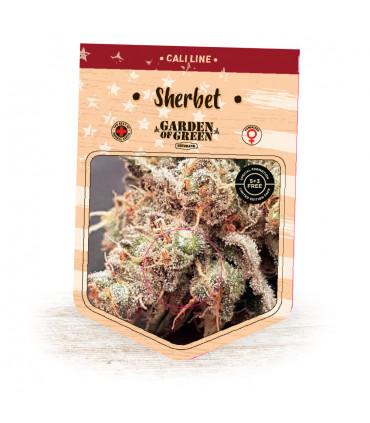 Sherbert (Garden of Green)