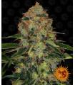 Shiskaberry