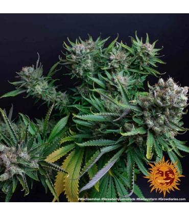 Strawberry Lemonade (Barney's Farm)