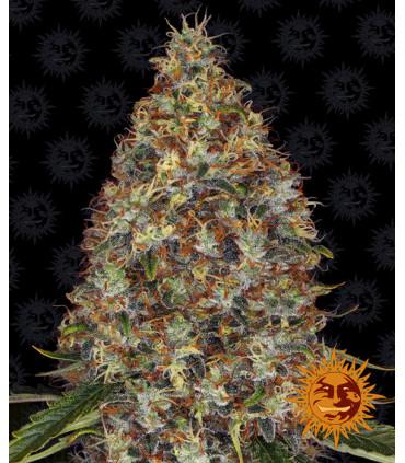 Strawberry Lemonade (Barney's Farm)