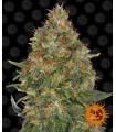 Pineapple Express Auto