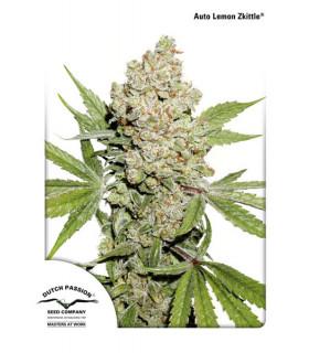 Auto Lemon Zkittle (Dutch Passion)