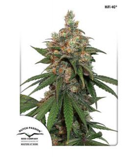 HiFi 4G (Dutch Passion)