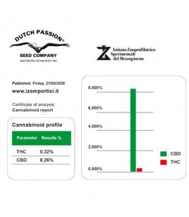 CBD Auto Blackberry Kush (Dutch Passion)