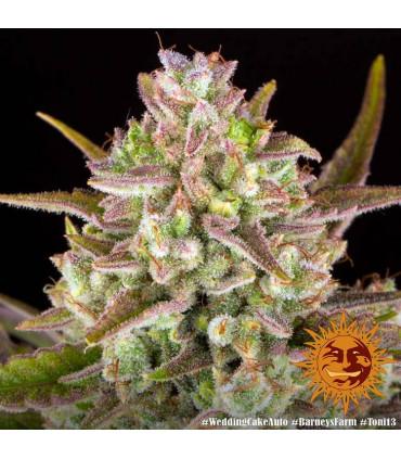 Wedding Cake Auto (Barey's Farm)