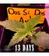 Dos Si Dos Auto (Barney's Farm)