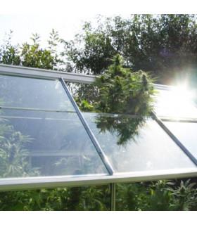 Shaman (Dutch Passion)