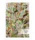 CBD Auto White Widow Dutch Passion - Αυτόματοι Σπόροι CBD