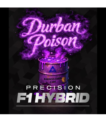 Durban Poison F1 Barney's Farm - Σπόροι Κάνναβης