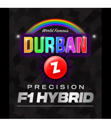 Durban Z F1 Barney's Farm - Σπόροι Κάνναβης