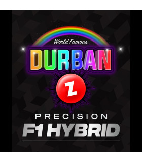 Durban Z F1