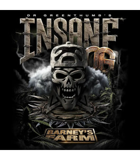 Insane OG Barney's Farm - Σπόροι Κάνναβης