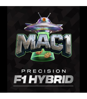 MAC 1 F1 Barney's Farm - Σπόροι Κάνναβης