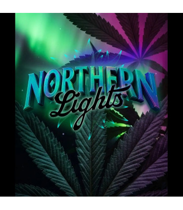 Northern Lights Barney's Farm - Σπόροι Κάνναβης
