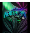 Northern Lights