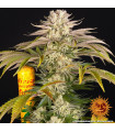 Pineapple Express