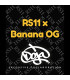 RS11 x Banana OG Barney's Farm | Σπόροι Κάνναβης