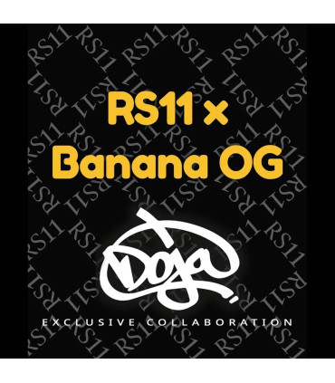 RS11 x Banana OG Barney's Farm | Σπόροι Κάνναβης