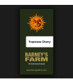 Tropicana Cherry