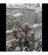 Guava Auto RF3 Fast Buds | Αυτόματοι Σπόροι Κάνναβης