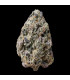 Biscotti Gelato Fast Buds | Σπόροι Φωτοπεριόδου