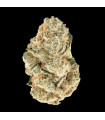 Gorilla Melon