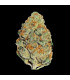 Lemon Mandarin Fast Buds | Σπόροι Φωτοπεριόδου