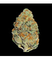 Lemon Mandarin