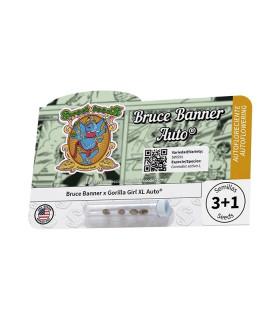 Bruce Banner Auto