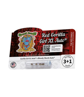 Red Gorilla Girl XL Auto