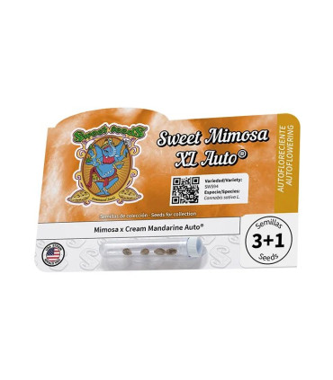 Sweet Mimosa XL Auto - Αυτόματοι Σπόροι Κάνναβης Sweet Seeds