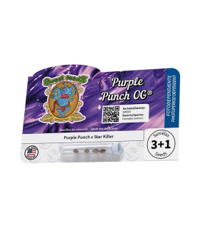 Purple Punch OG