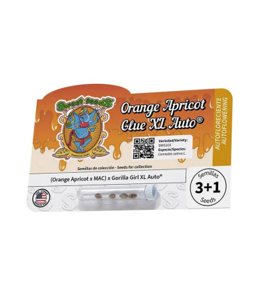 Orange Apricot Glue XL Auto - Αυτόματοι Σπόροι Κάνναβης Sweet Seeds