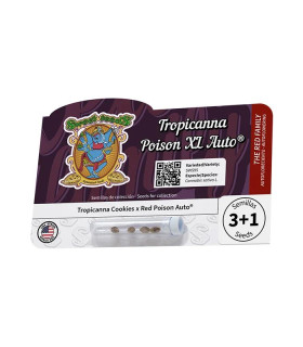 Tropicanna Poison XL Auto