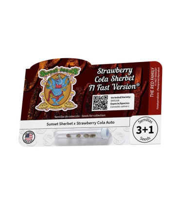 Strawberry Cola Sherbet F1 Fast Version - Σπόροι Κάνναβης Γρήγορης Άνθοφορίας Sweet Seeds