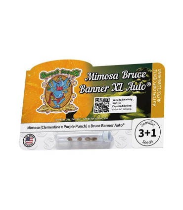 Mimosa Bruce Banner XL Auto - Αυτόματοι Σπόροι Κάνναβης Sweet Seeds